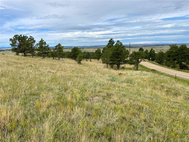 32011 Cattle Cir, Ramah, CO 80832