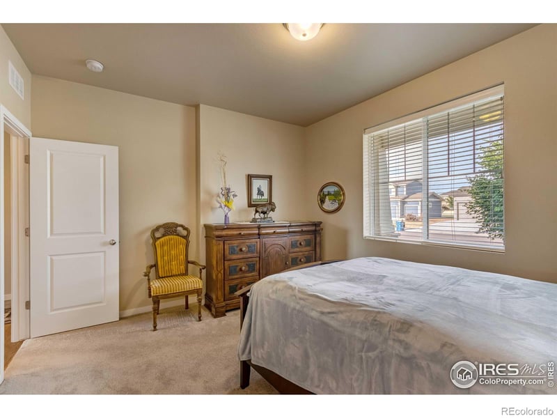 7213 Horsechestnut St, Wellington, CO 80549