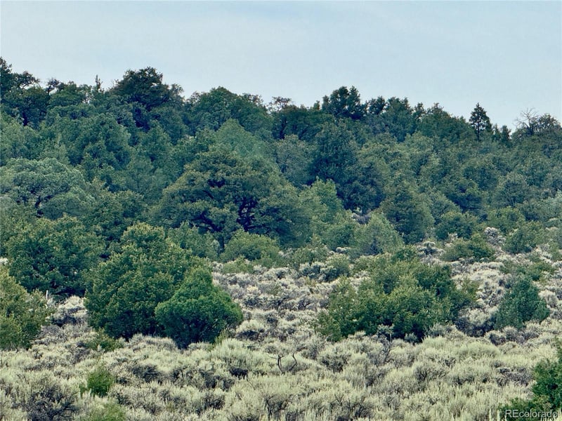 Lot 38 Wildhorse Dr, San Luis, CO 81152