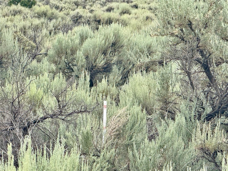 Lot 38 Wildhorse Dr, San Luis, CO 81152