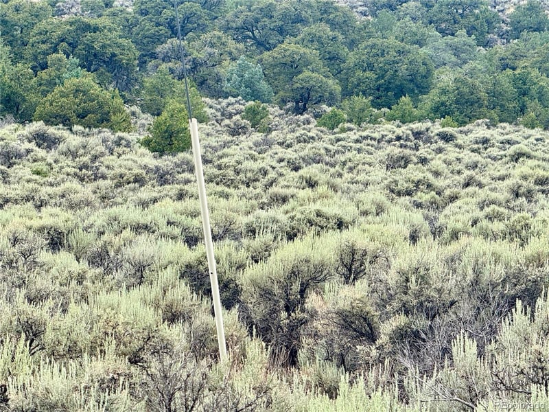 Lot 38 Wildhorse Dr, San Luis, CO 81152