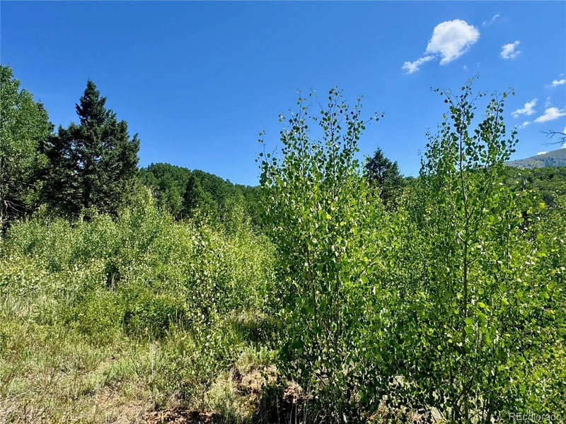 Lot 5850 Richardson Rd, Fort Garland, CO 81152
