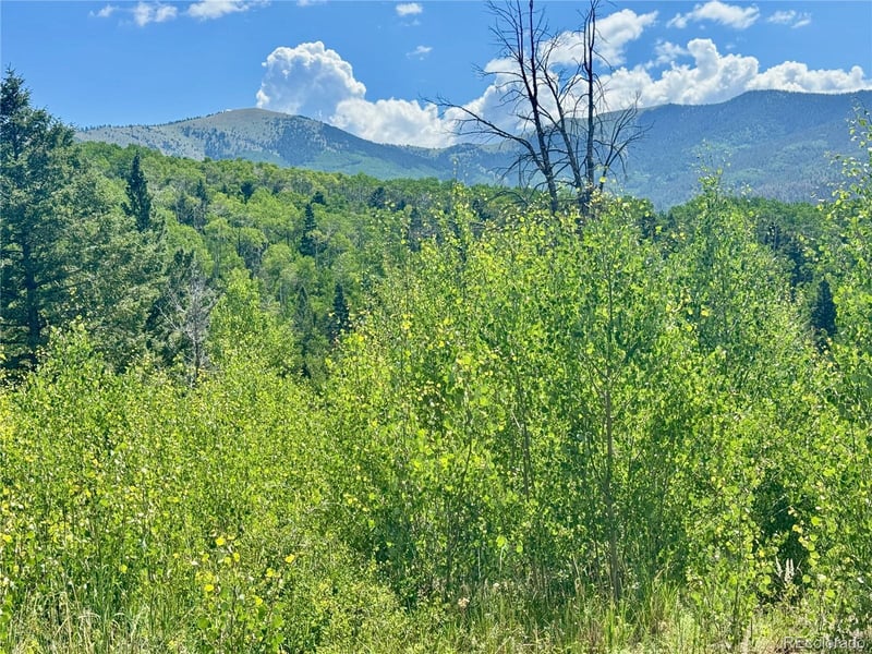 Lot 5850 Richardson Rd, Fort Garland, CO 81152