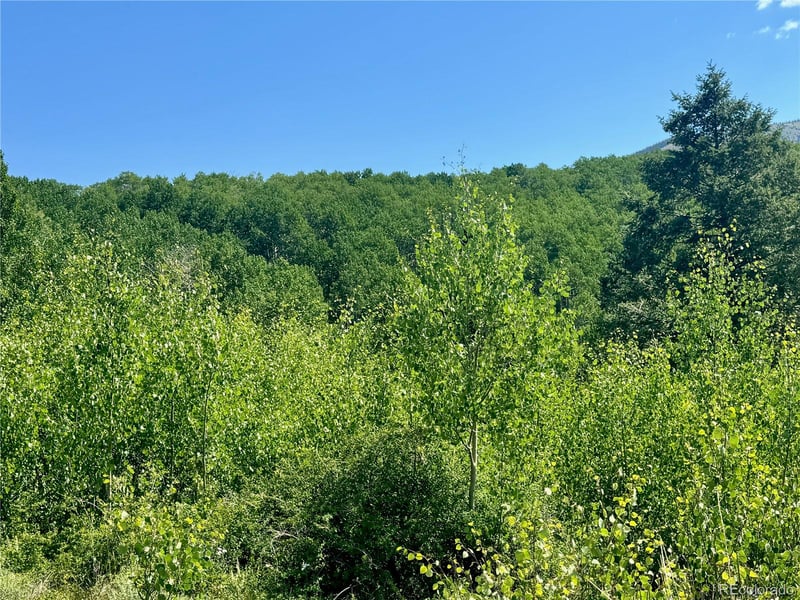 Lot 5850 Richardson Rd, Fort Garland, CO 81152