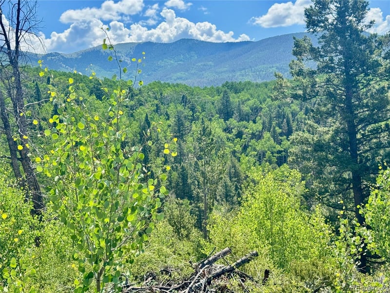 Lot 5850 Richardson Rd, Fort Garland, CO 81152