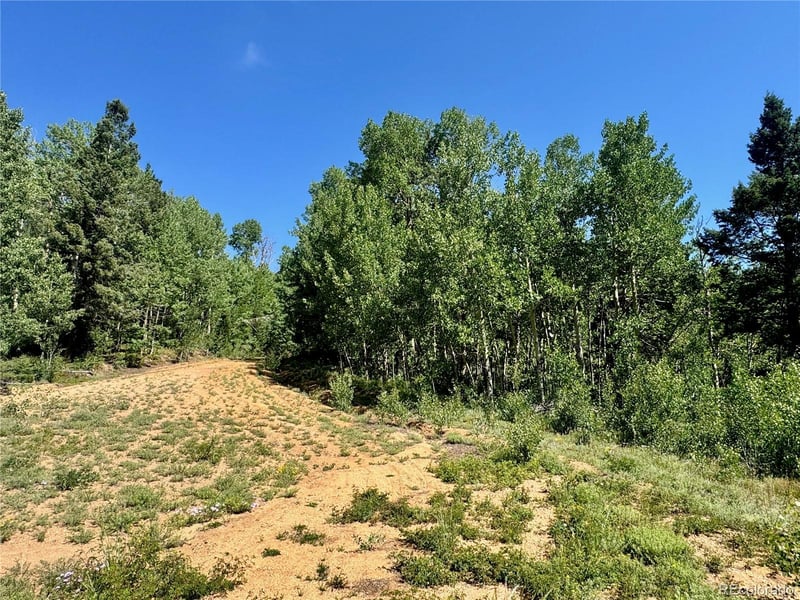 Lot 5850 Richardson Rd, Fort Garland, CO 81152