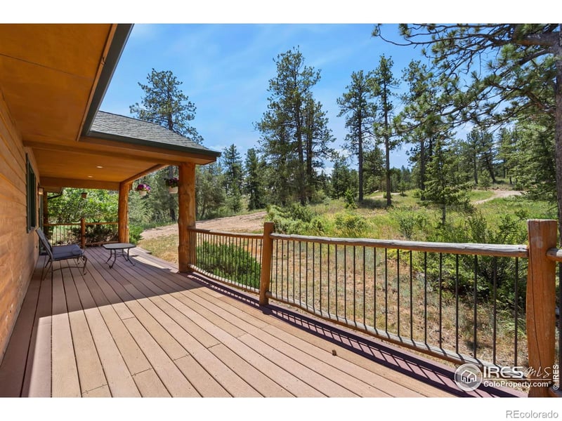 556 Bald Mountain Dr, Livermore, CO 80536
