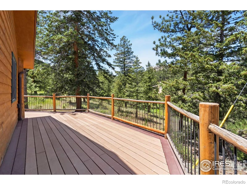 556 Bald Mountain Dr, Livermore, CO 80536