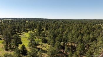 10348 Pine Song Pl, Parker, CO 80138