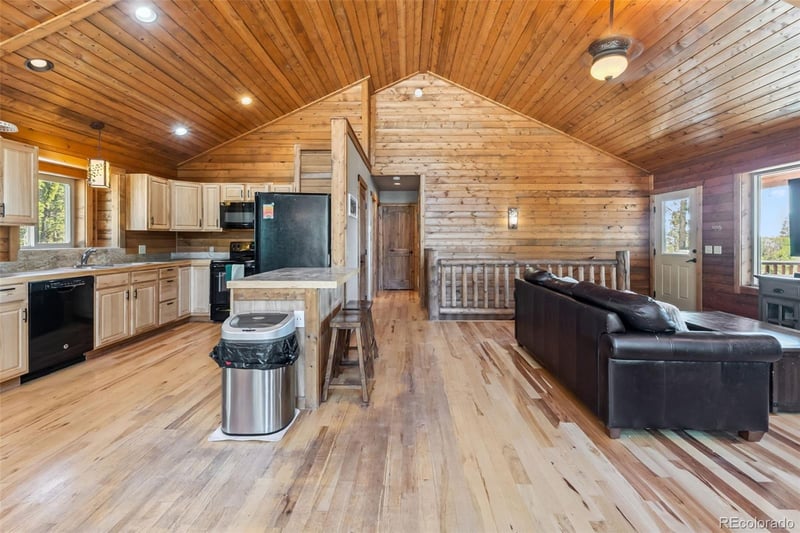 889 Venture Rd, Fairplay, CO 80440