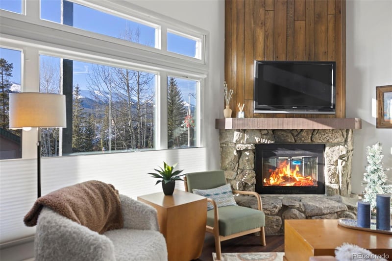 100 N Gold Flake Ter #A, Breckenridge, CO 80424