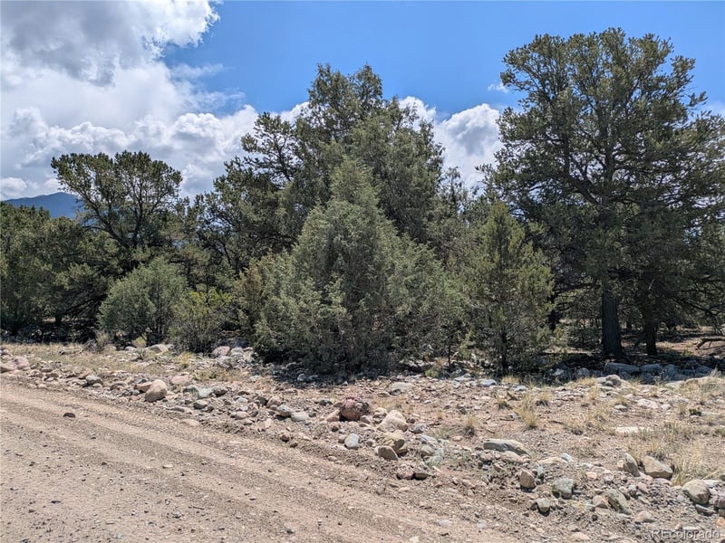 3729 Enchanted Way, Crestone, CO 81131