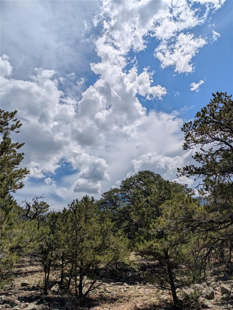 3729 Enchanted Way, Crestone, CO 81131