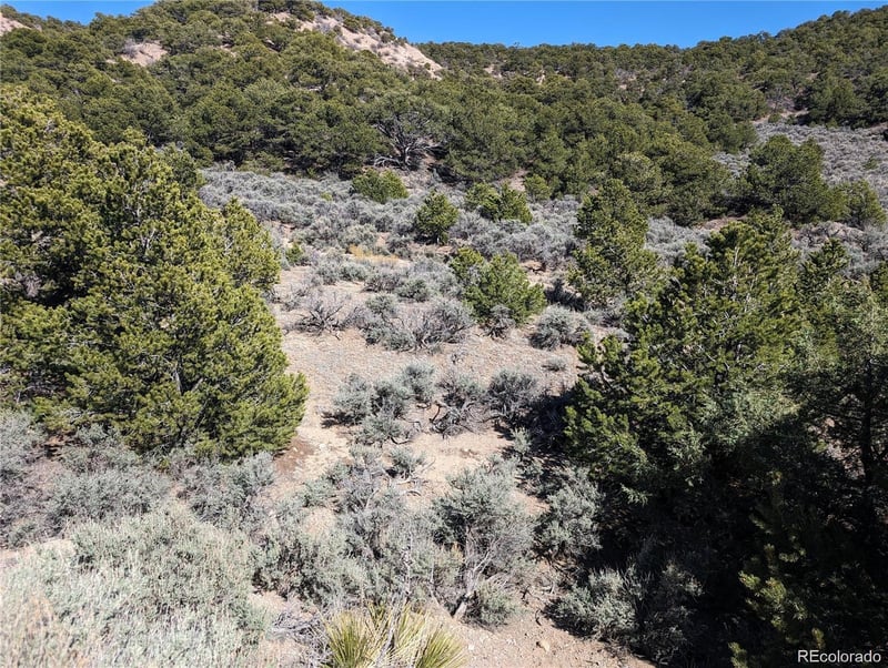 Lot 2131 Trujillo Rd, Fort Garland, CO 81133