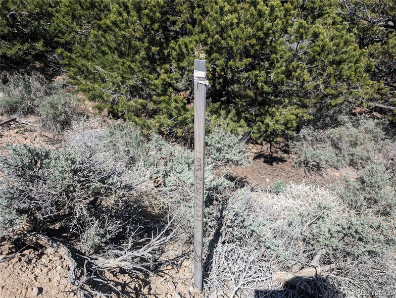 Lot 2131 Trujillo Rd, Fort Garland, CO 81133