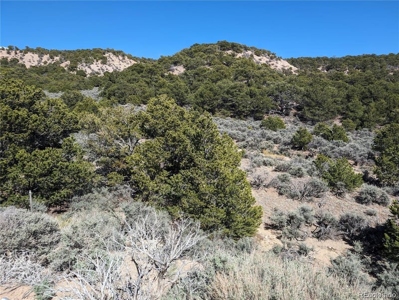 Lot 2131 Trujillo Rd, Fort Garland, CO 81133