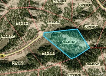 Lot 2131 Trujillo Rd, Fort Garland, CO 81133