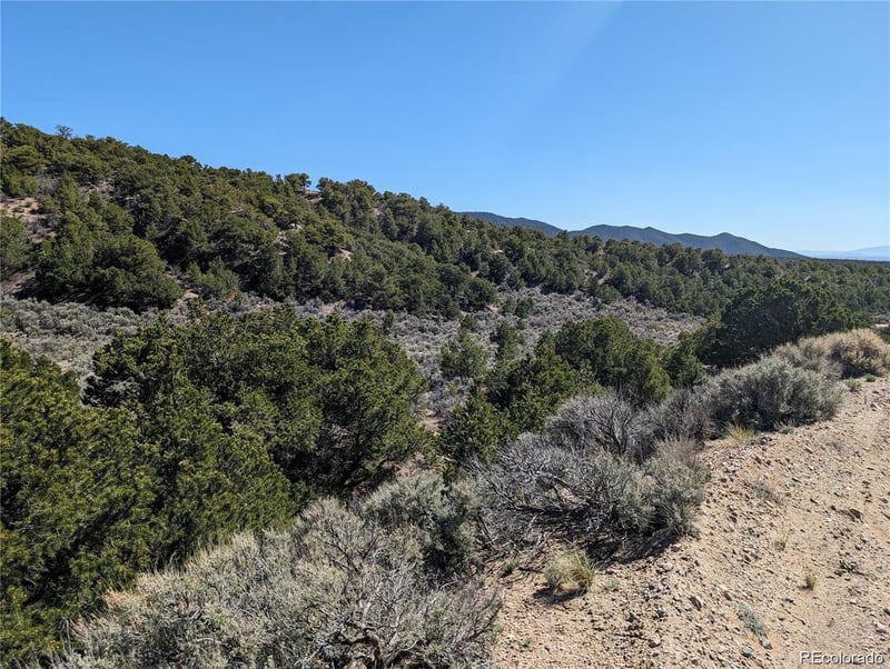 Lot 2131 Trujillo Rd, Fort Garland, CO 81133