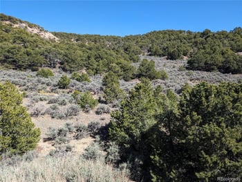 Lot 2131 Trujillo Rd, Fort Garland, CO 81133