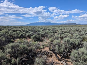 10 Acres Dante Rd, Fort Garland, CO 81133