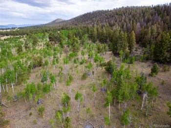 2396 Fitzsimmons Rd, Hartsel, CO 80449