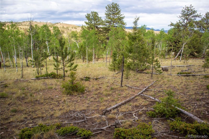 2396 Fitzsimmons Rd, Hartsel, CO 80449