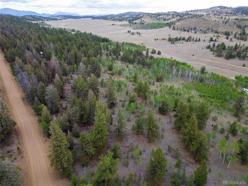 2396 Fitzsimmons Rd, Hartsel, CO 80449