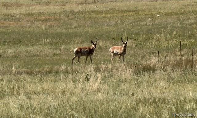 Tbd S State Highway 83 140 Acres, Franktown, CO 80116