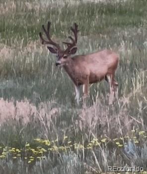 Tbd S State Highway 83 140 Acres, Franktown, CO 80116