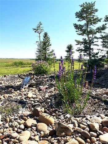 5549 Yulle Rd, Bennett, CO 80102