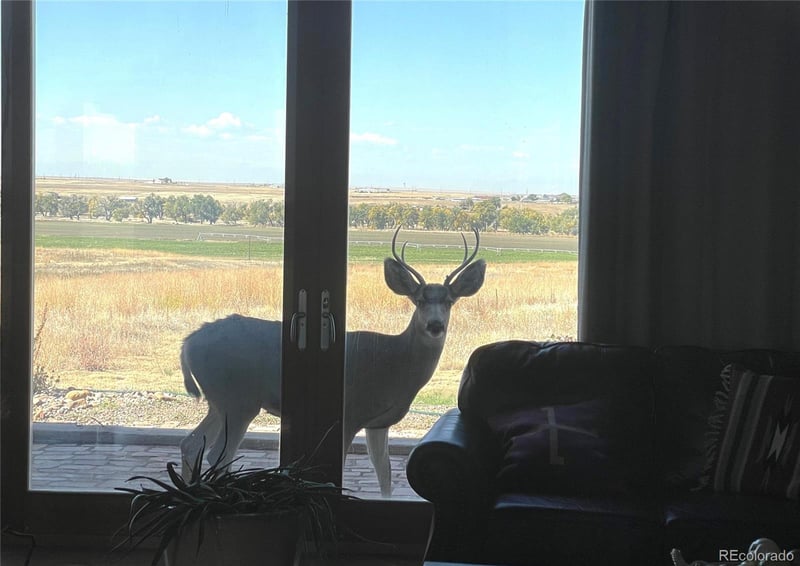 5549 Yulle Rd, Bennett, CO 80102