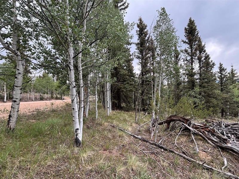 1928 Wells Fargo Cir, Jefferson, CO 80456