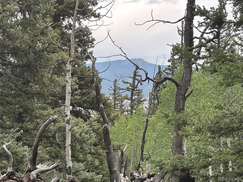 1928 Wells Fargo Cir, Jefferson, CO 80456