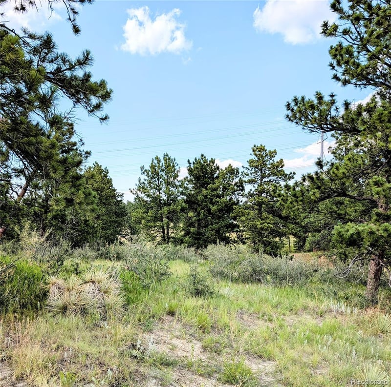 11634 Bell Cross Cir, Parker, CO 80138