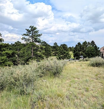 11634 Bell Cross Cir, Parker, CO 80138
