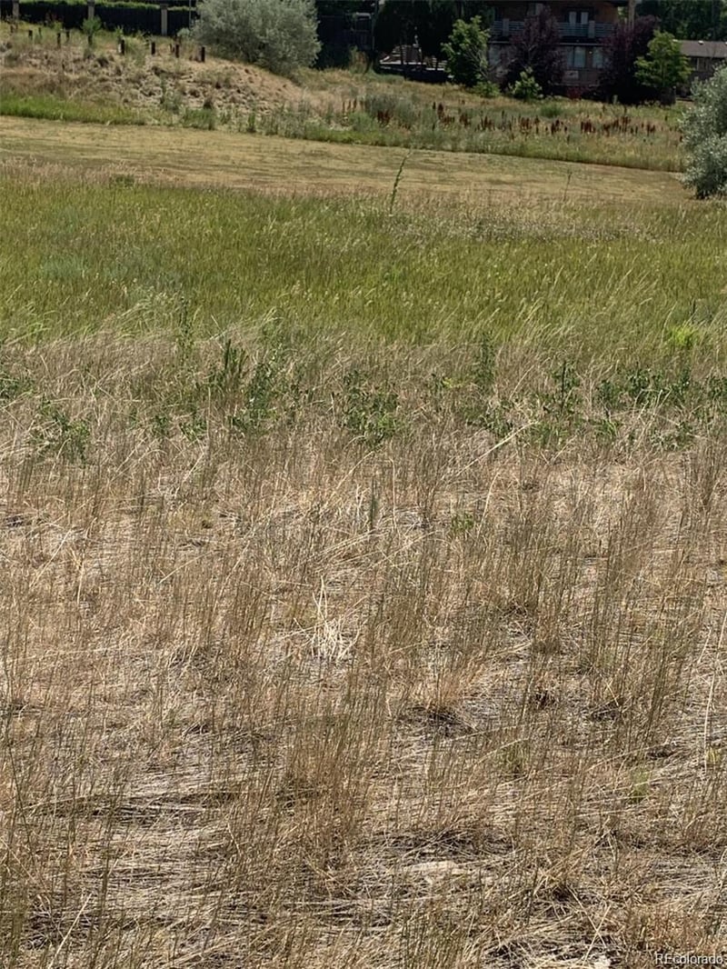 8329 Carr Way Lot 002, Littleton, CO 80128