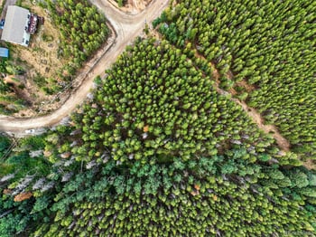 Aspen Way, Evergreen, CO 80439