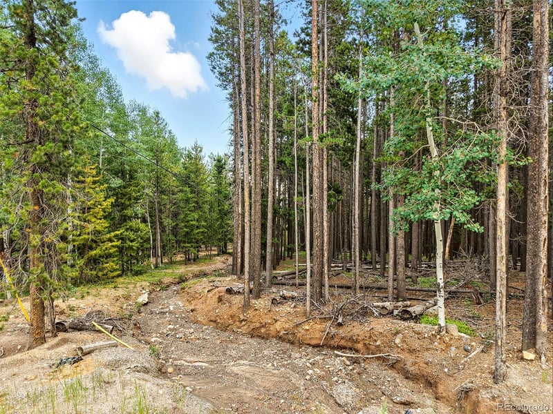 Aspen Way, Evergreen, CO 80439