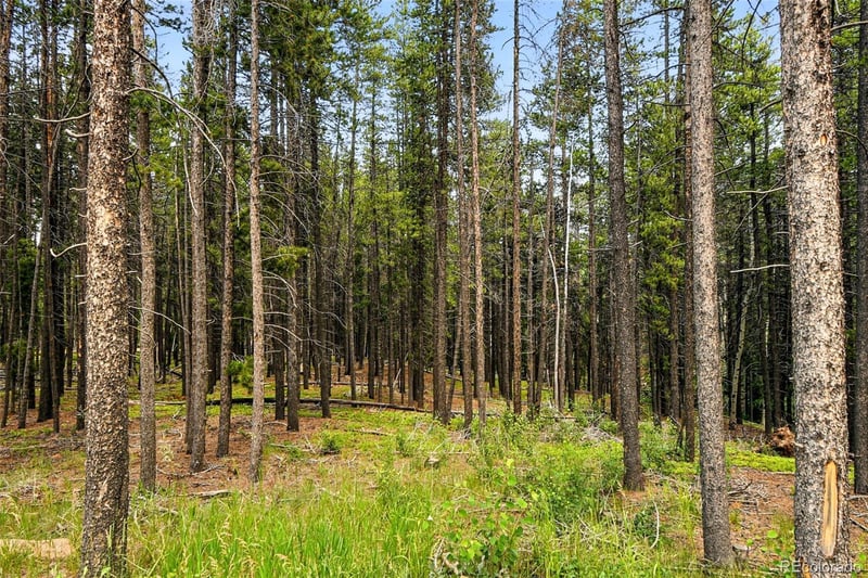 Aspen Way, Evergreen, CO 80439