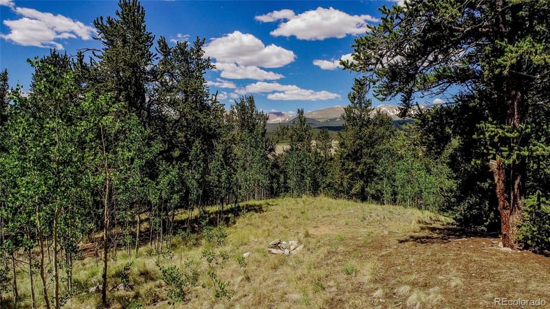 308 Quarry Rd, Fairplay, CO 80440