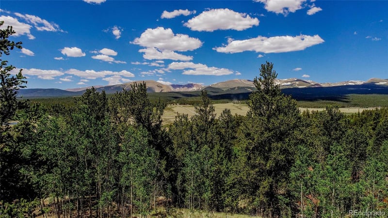 308 Quarry Rd, Fairplay, CO 80440