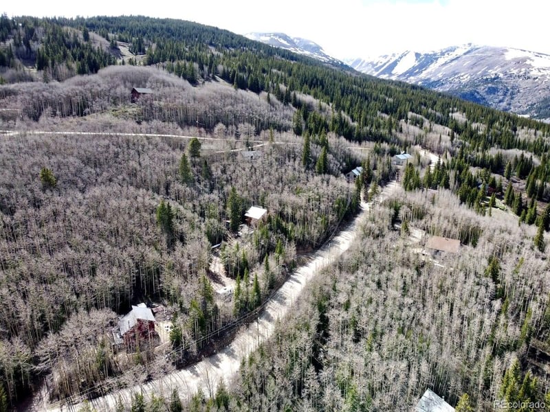 288 Roberts Rd, Alma, CO 80420