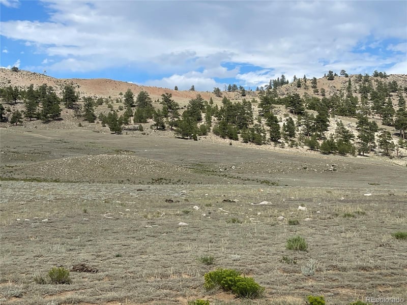 00 Lakeview Dr, Hartsel, CO 80449