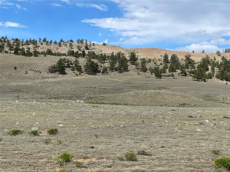 00 Lakeview Dr, Hartsel, CO 80449