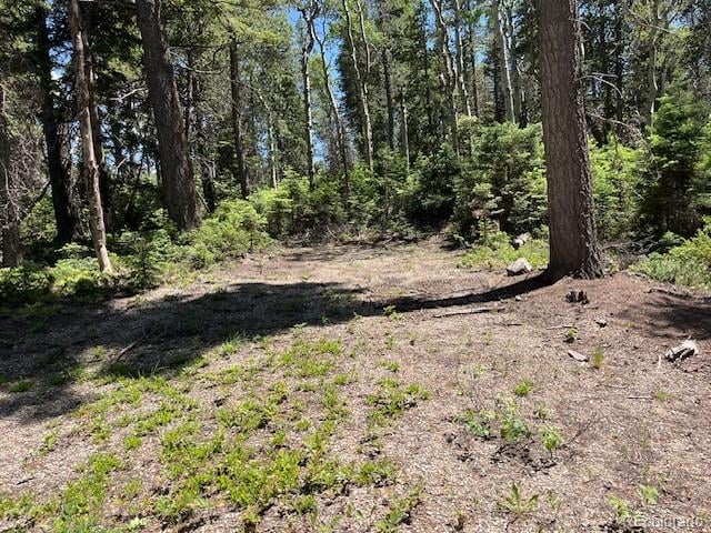 Lot 2449 Petito Dr, Fort Garland, CO 81133