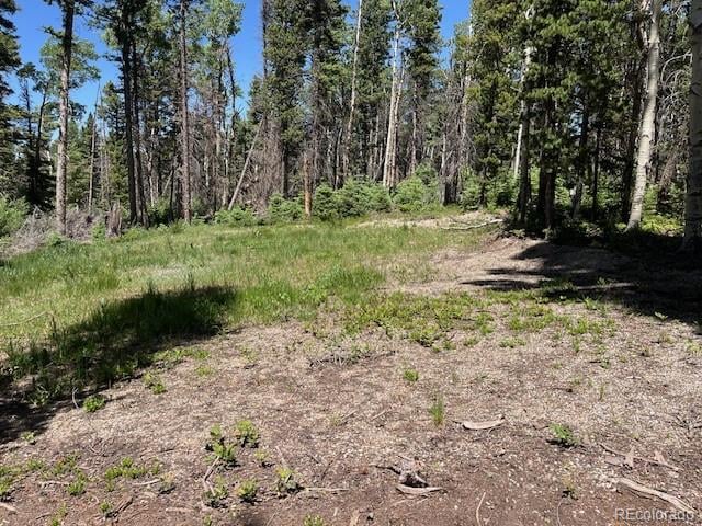 Lot 2449 Petito Dr, Fort Garland, CO 81133