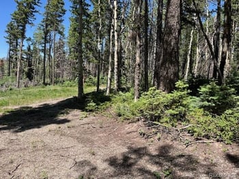Lot 2449 Petito Dr, Fort Garland, CO 81133