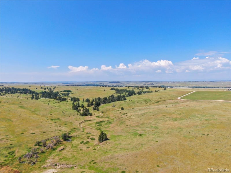 35255 Peacefulness St, Kiowa, CO 80117