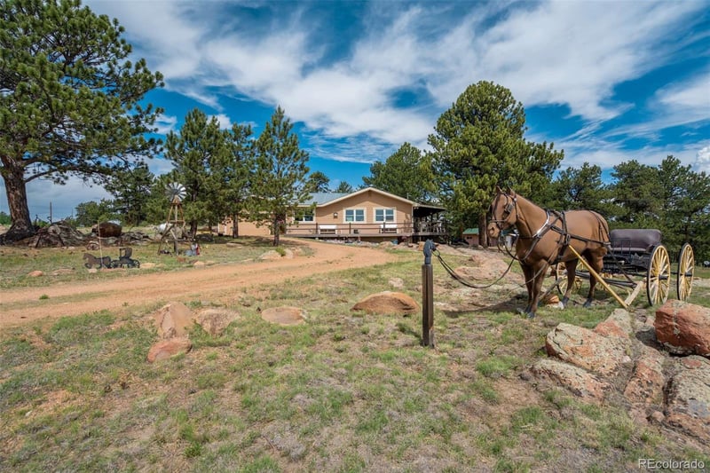 2134 Homestake Pl, Florissant, CO 80816