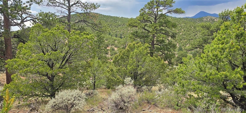 Lot 4401 Melcarth Rd, Fort Garland, CO 81133